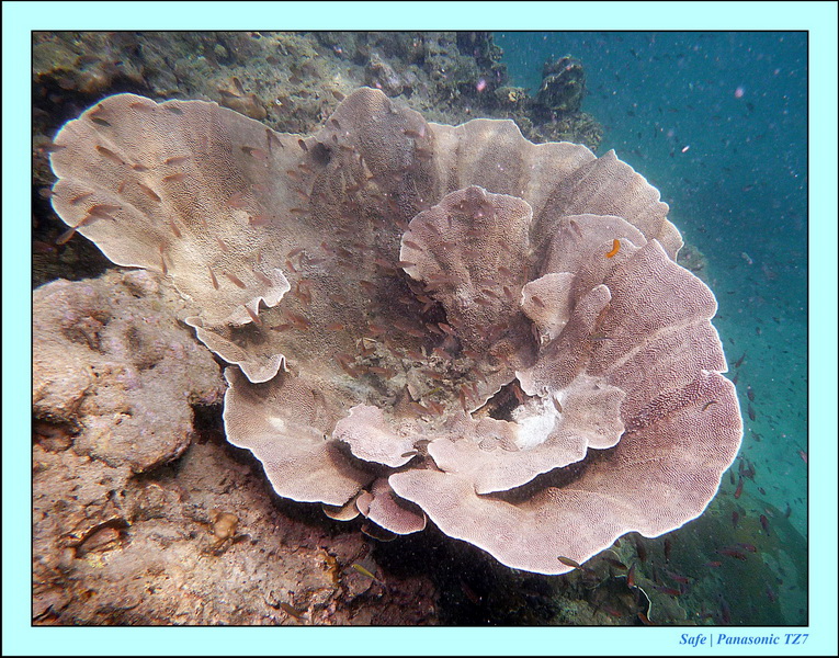 2012 - 03 - Koh Kradan 05